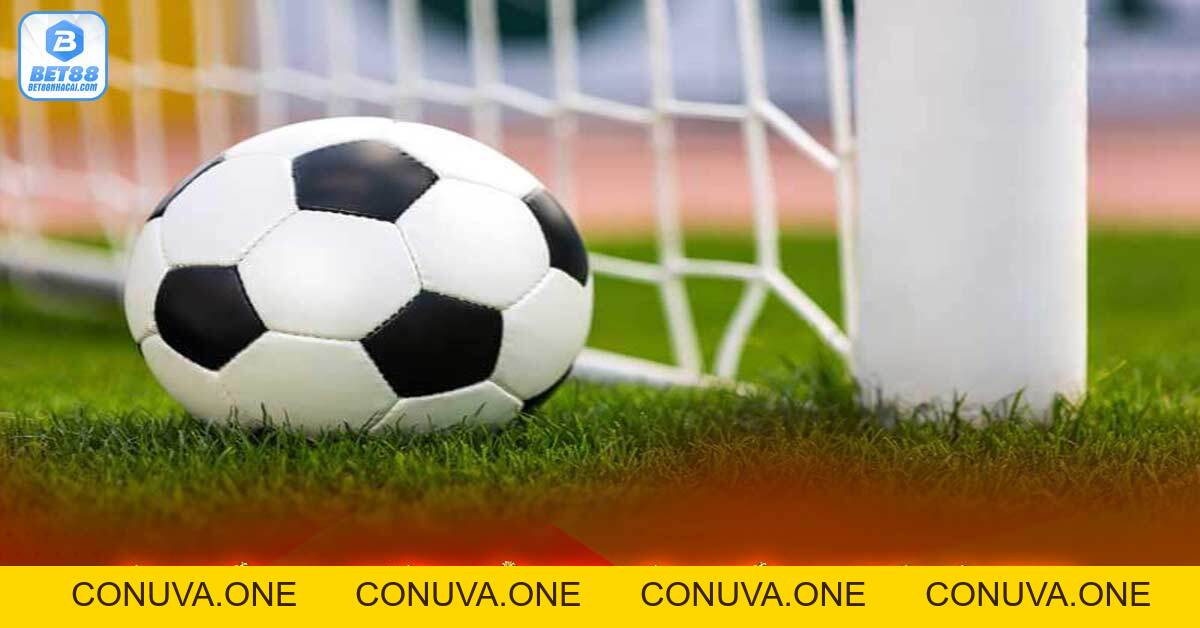 Kèo chấp 0.5 - Hướng dẫn đọc kèo chấp 1/2 nhà cái bet88