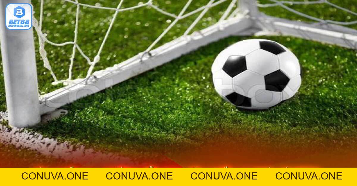 Kèo chấp 0.5 - Hướng dẫn đọc kèo chấp 1/2 nhà cái bet88