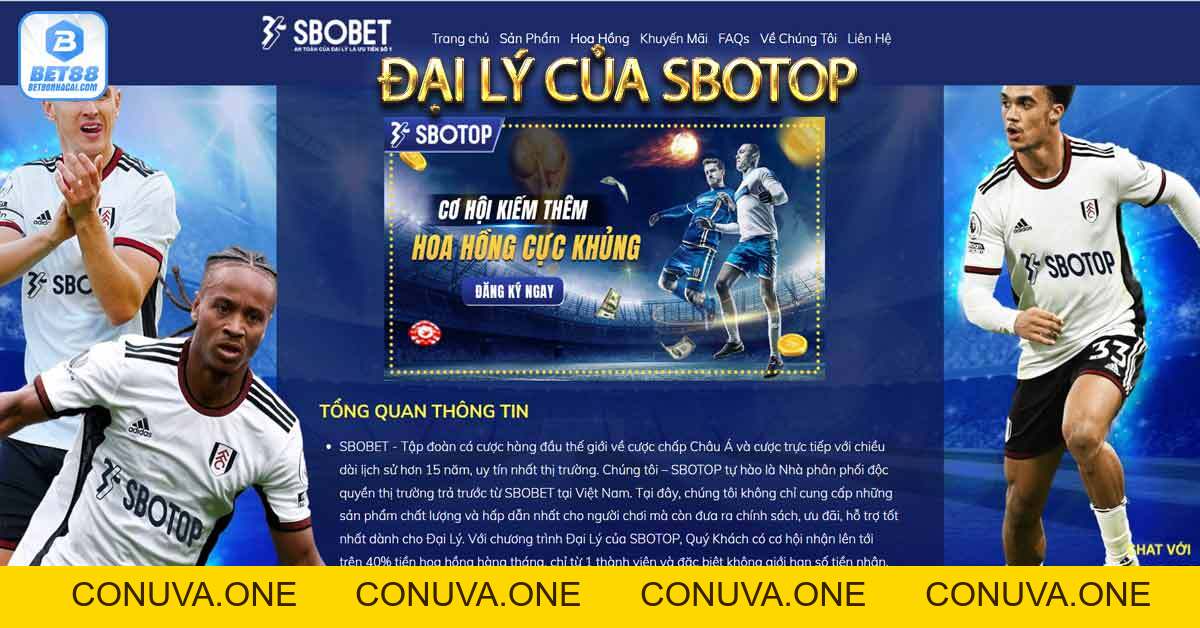 ĐẠI LÝ CỦA SBOTOP - Điều kiện để đăng ký đại lý SBOTOP