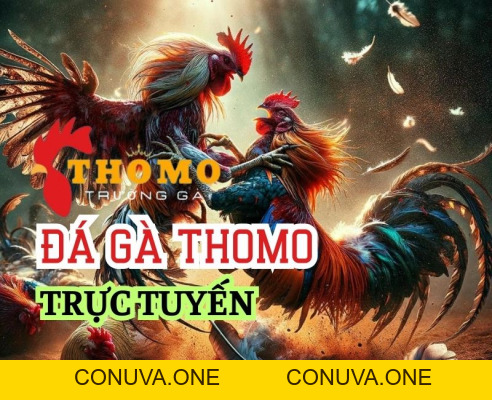 Bet88 - Bet88nhacai.com Trang Chủ