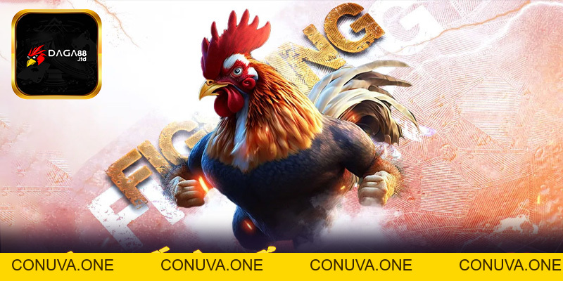 Daga88 - Sàn đặt cược đá gà đổi thưởng khủng nhất tại Việt Nam - BET88VN.PRO