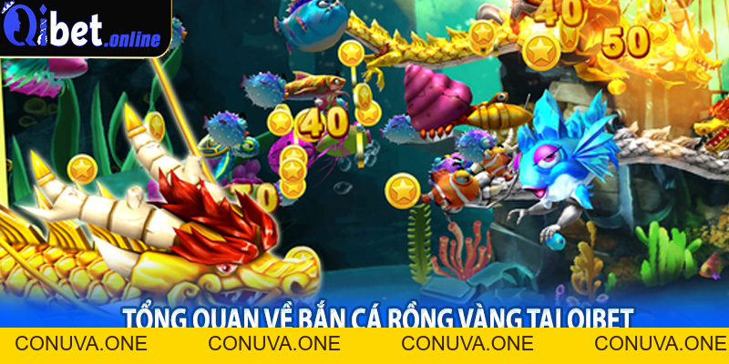 Bắn Cá Rồng Vàng Qibet – Giải Trí Hấp Dẫn, Thưởng Lớn Liền Tay - BET88VN.PRO