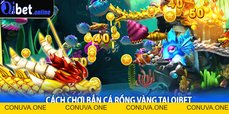 Bắn Cá Rồng Vàng Qibet – Giải Trí Hấp Dẫn, Thưởng Lớn Liền Tay - BET88VN.PRO